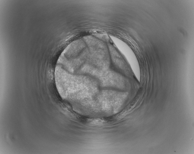 X0000115800621200912111211