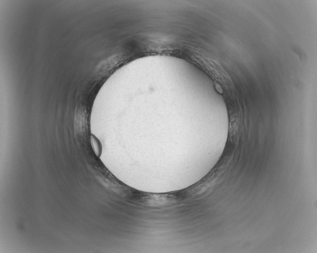 X0000115800623200912111211