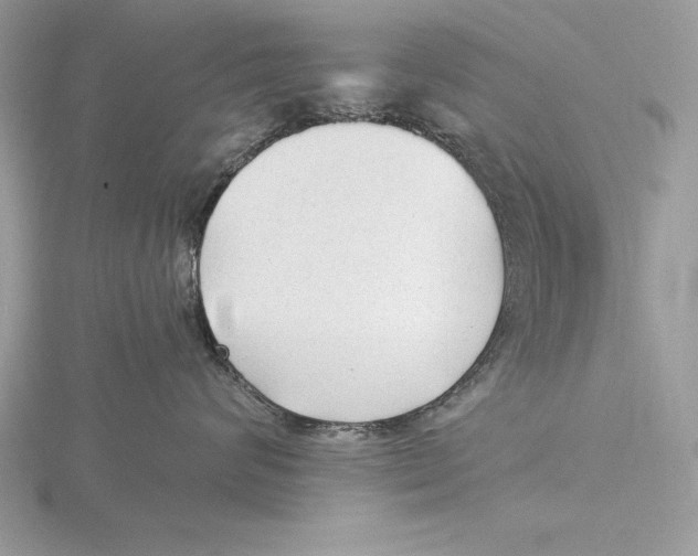 X0000115800624200912111211