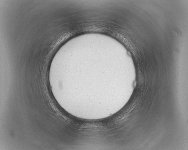 X0000115800625200912111210