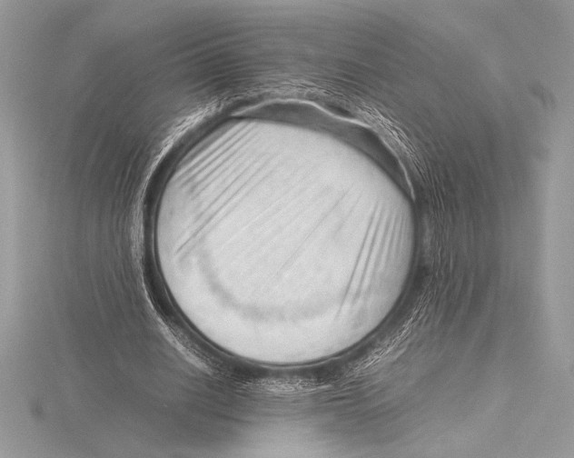 X0000115800630200912111210