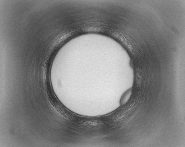 X0000115800631200912111210