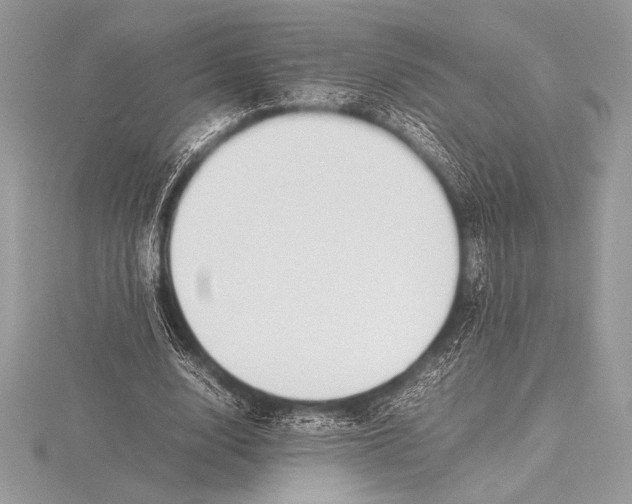 X0000115800632200912111210