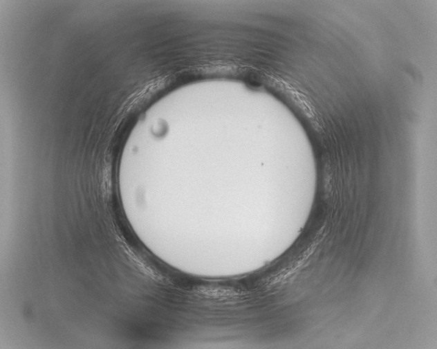 X0000115800633200912111210