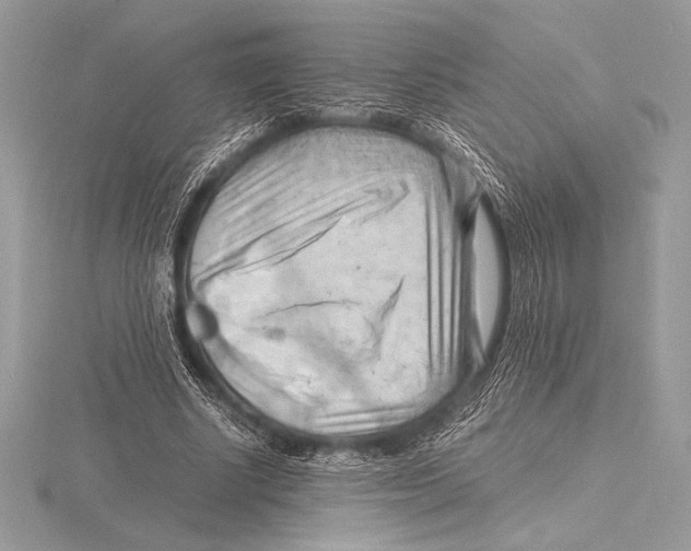 X0000115800634200912111210