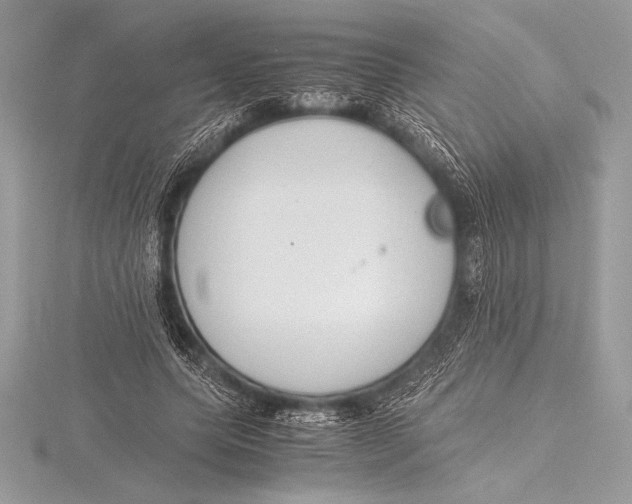 X0000115800639200912111210