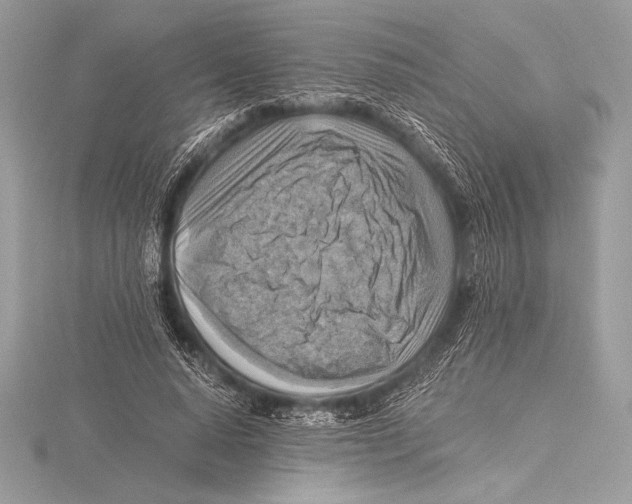 X0000115800640200912111210