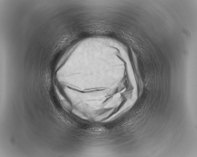 X0000115800642200912111210