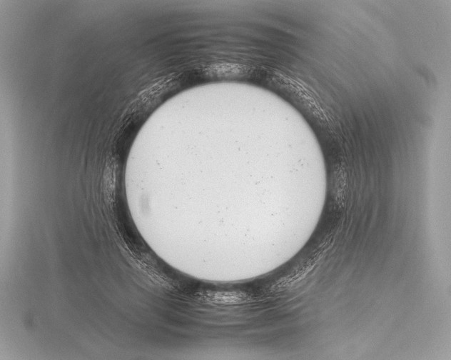 X0000115800645200912111210