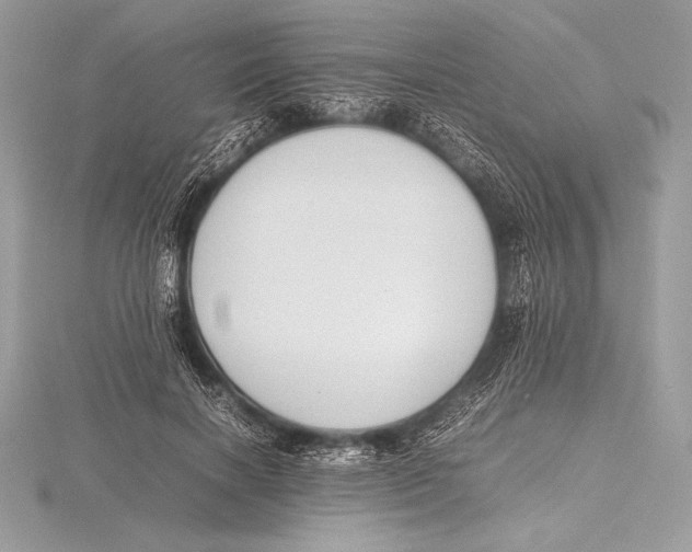 X0000115800646200912111210