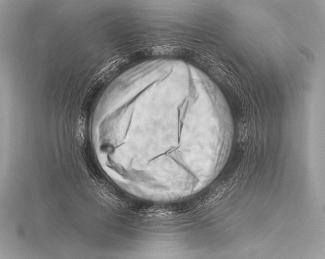 X0000115800648200912111210