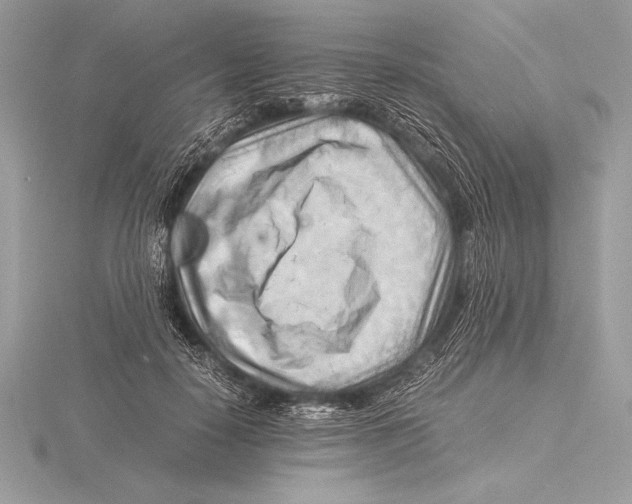 X0000115800650200912111210