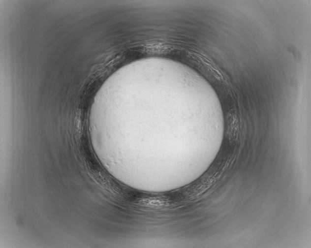 X0000115800655200912111210