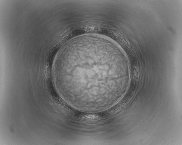 X0000115800659200912111210