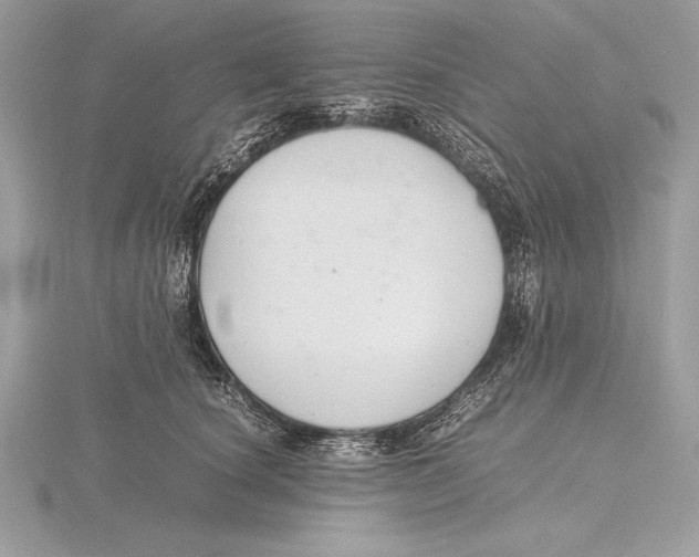 X0000115800660200912111210