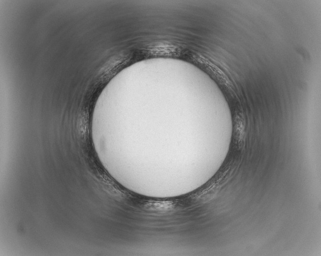 X0000115800665200912111210