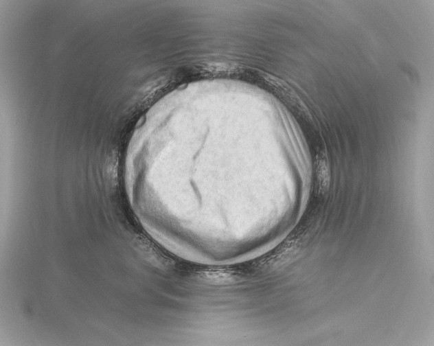 X0000115800668200912111210