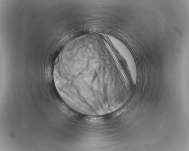 X0000115800670200912111210