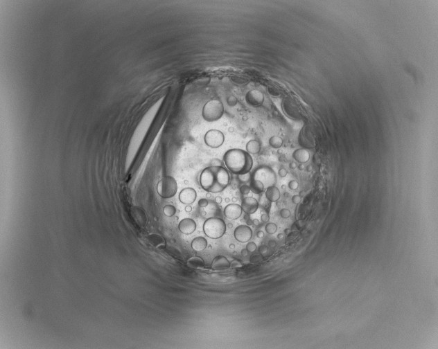 X0000115800671200912111210