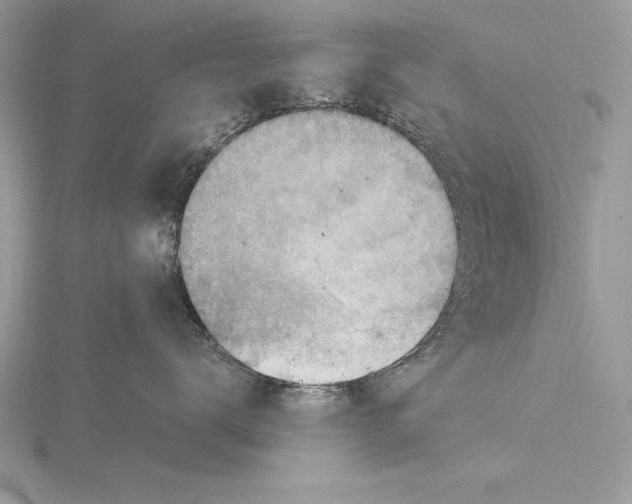 X0000115800672200912111210