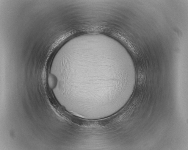 X0000115800674200912111210