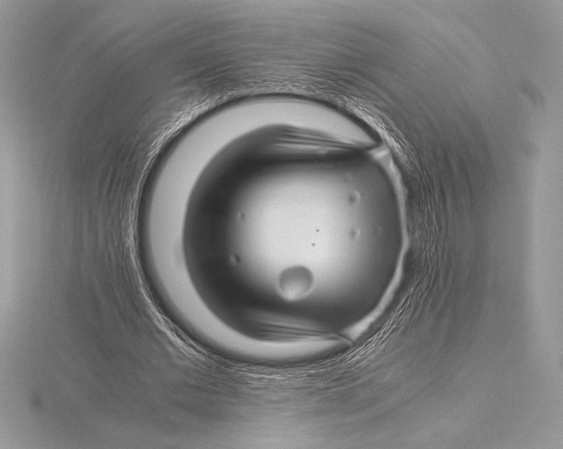 X0000115800677200912111210