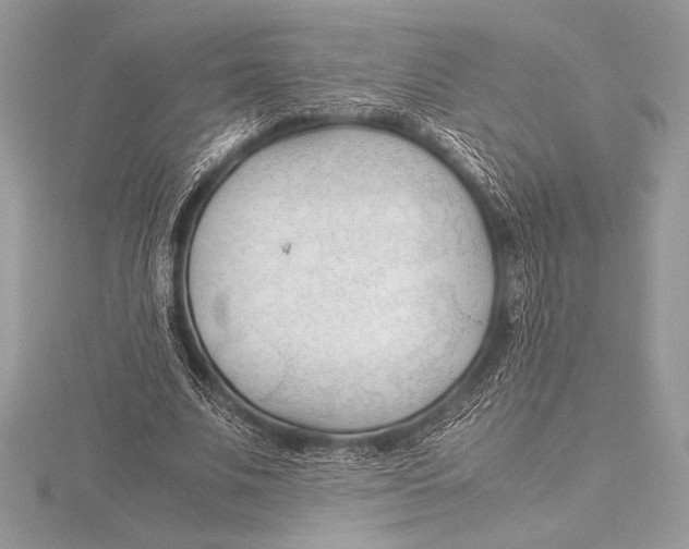 X0000115800679200912111210