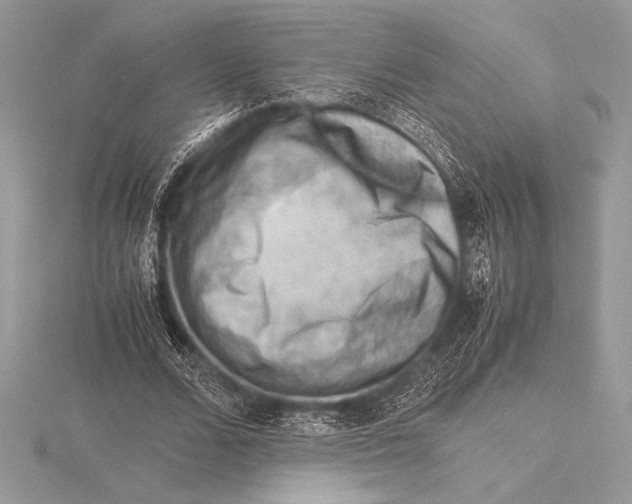 X0000115800680200912111210