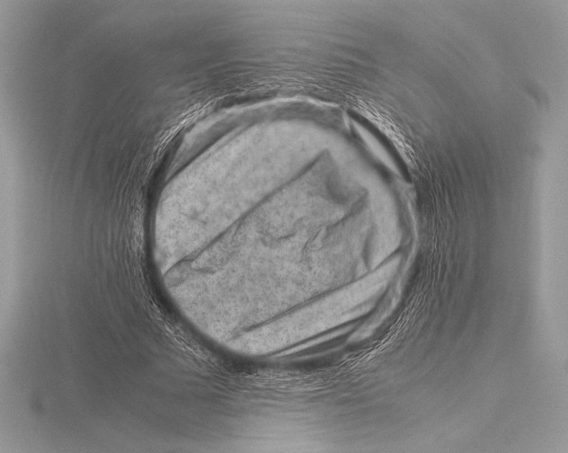 X0000115800681200912111210