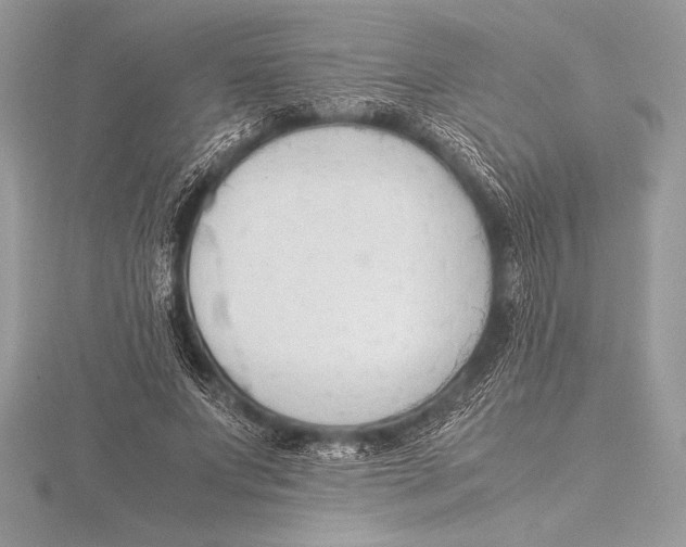 X0000115800687200912111210