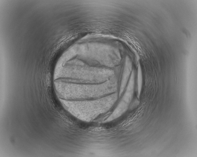 X0000115800689200912111210