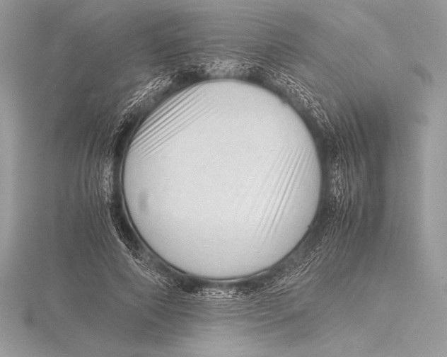 X0000115800690200912111210