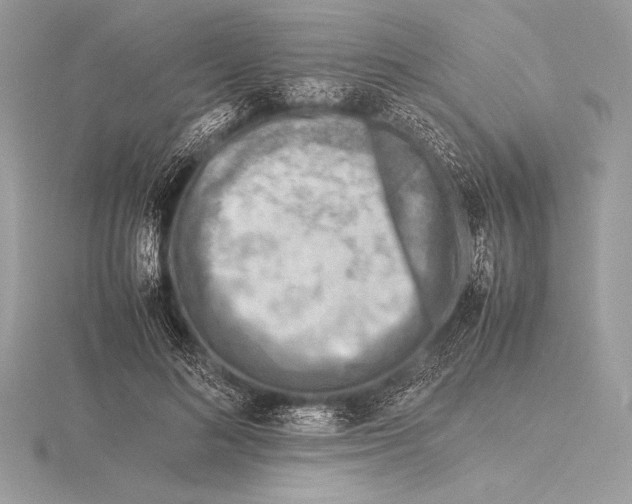 X0000115800692200912111210