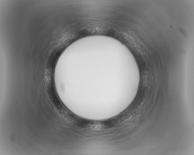 X0000115800695200912111210