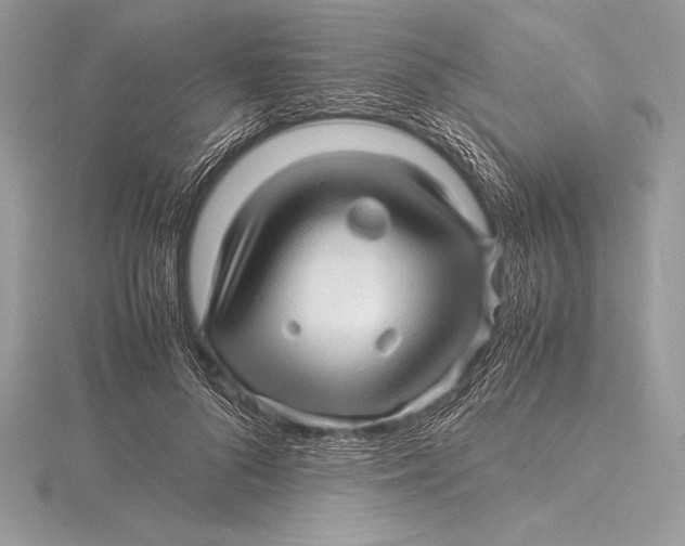 X0000115800696200912111210