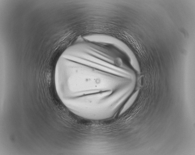 X0000115800697200912111210