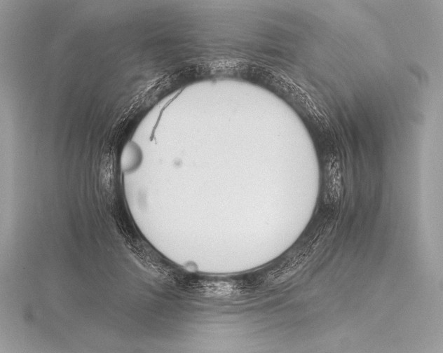 X0000115800698200912111210