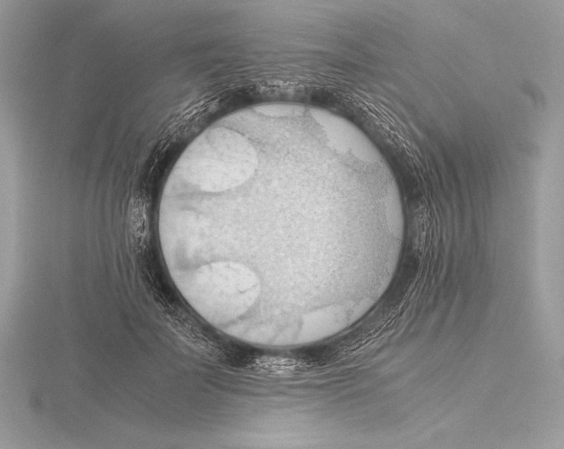 X0000115800699200912111210