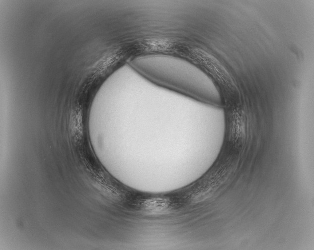 X0000115800700200912111210