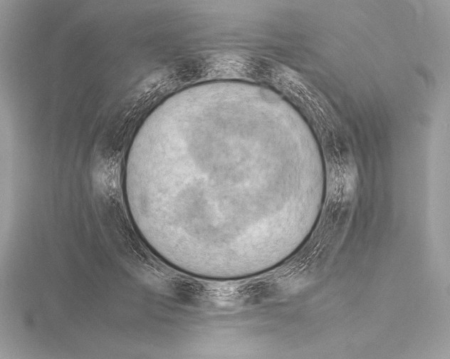 X0000115800701200912111210