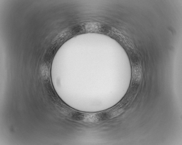 X0000115800705200912111209