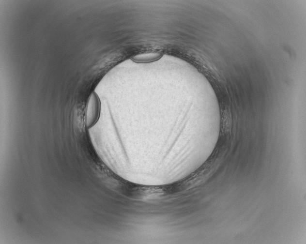 X0000115800719200912111209