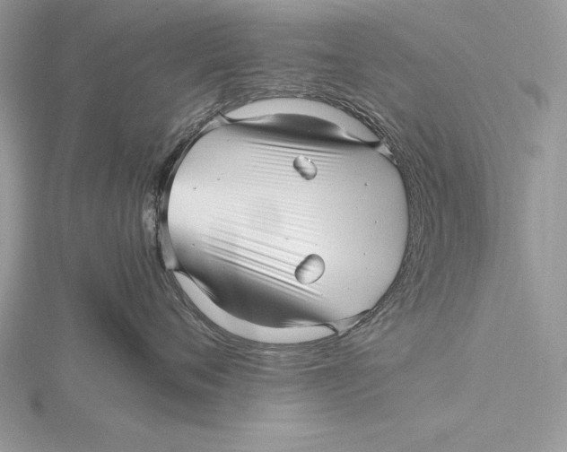 X0000115800720200912111209