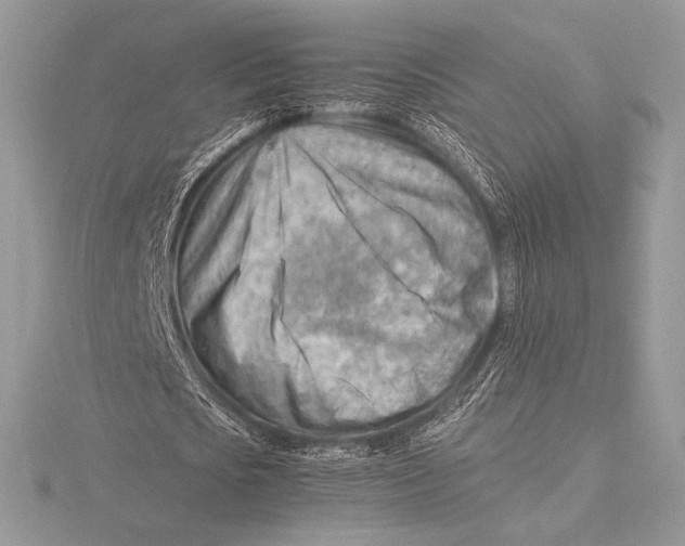 X0000115800721200912111209