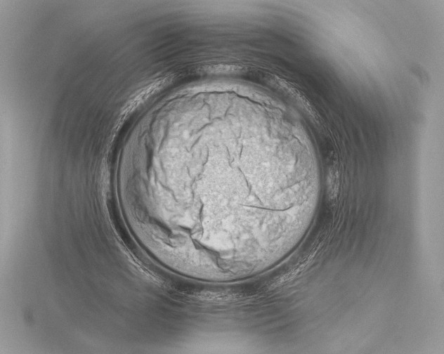 X0000115800725200912111209