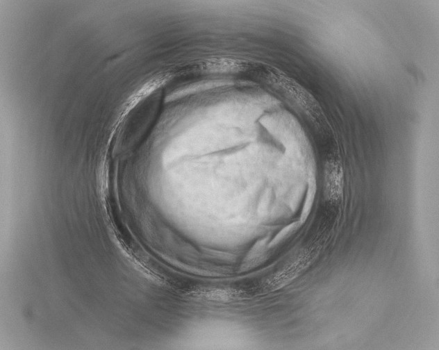 X0000115800726200912111209