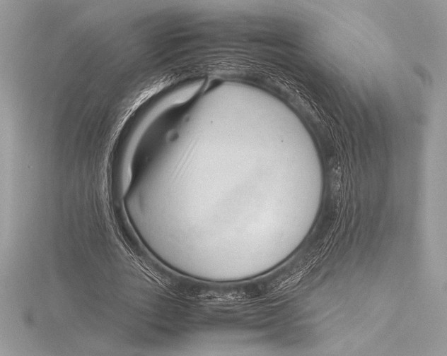 X0000115800727200912111209