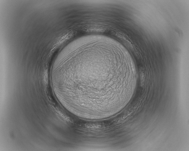 X0000115800729200912111209