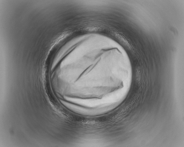 X0000115800730200912111209