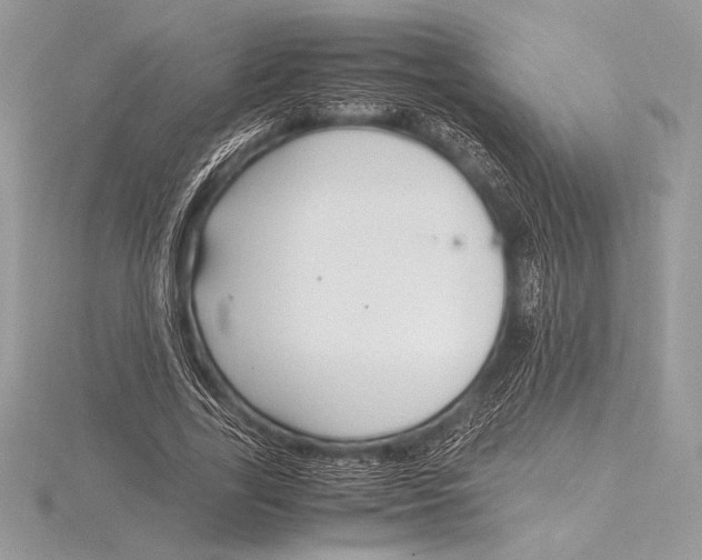 X0000115800731200912111209